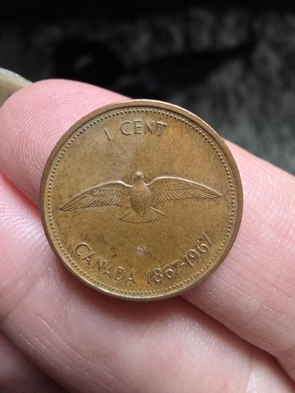 Canadian 1 Cent Commemorative Coin - Brown